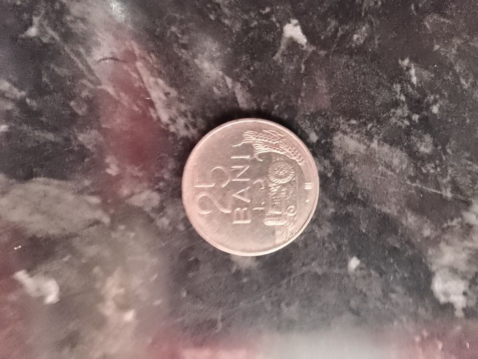 Monedă din Republica socialistă