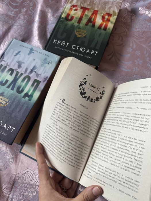 Книги братство ворона