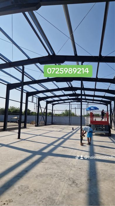 Vand hala metalica structura metalica IPE300 HEA260 IPE200 IPE270