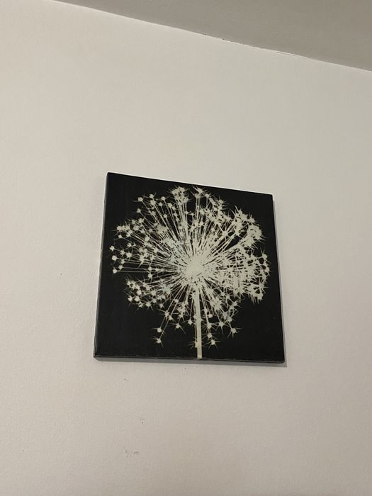 Tablouri viu colorate