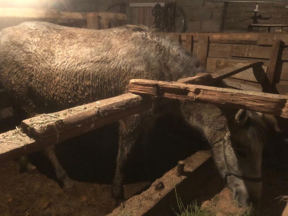 Сатылады.        .