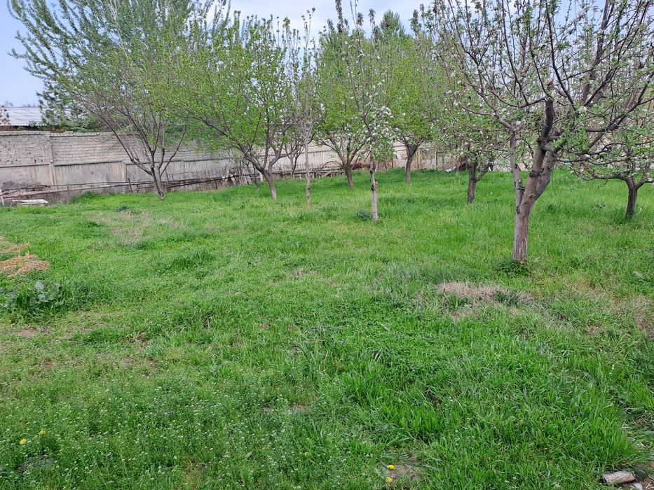 5 sotix yer sotiladi