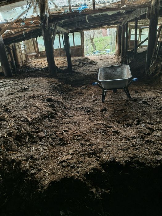 Gunoi grajd,pământ negru, humus