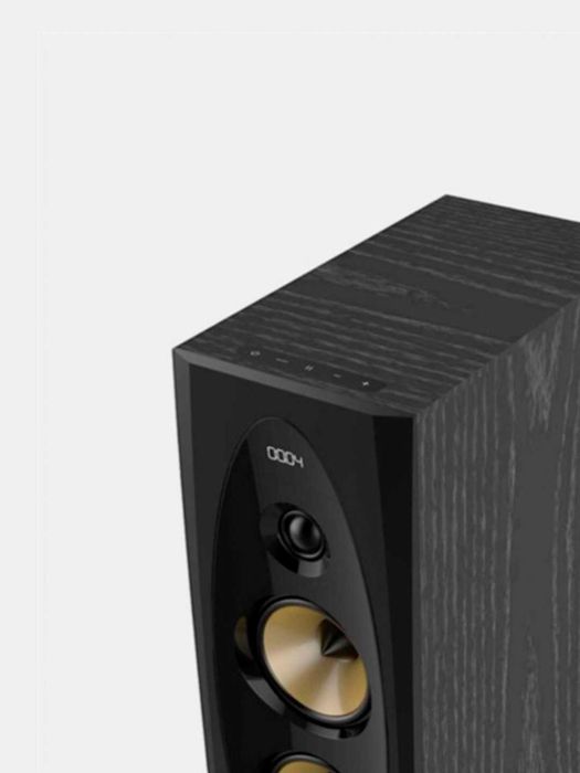 Колонка Fenda T60X Pro