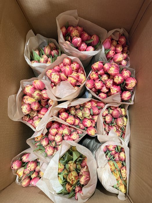 Тюльпаны оптом и розницу