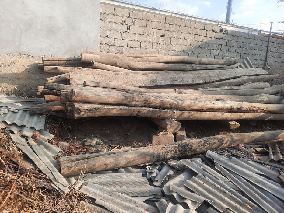 Болол сафедор опши