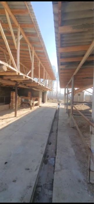 Uy Quyichirchiq Mingchinor