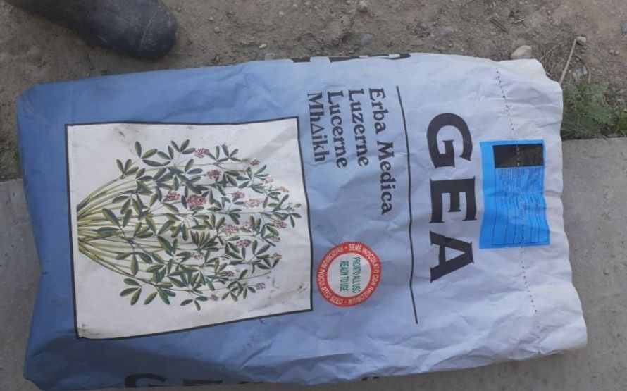 Джеа жонышка люцерны