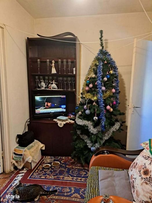 Apartament – Satu Mare - Mai multe