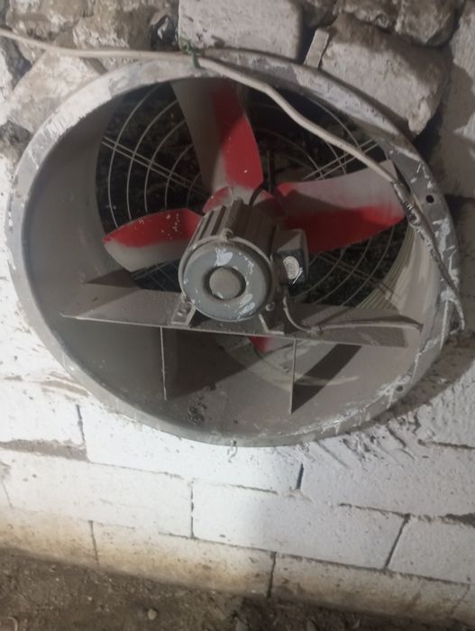 Vintilyator havoni soʻradigan kafolat bor