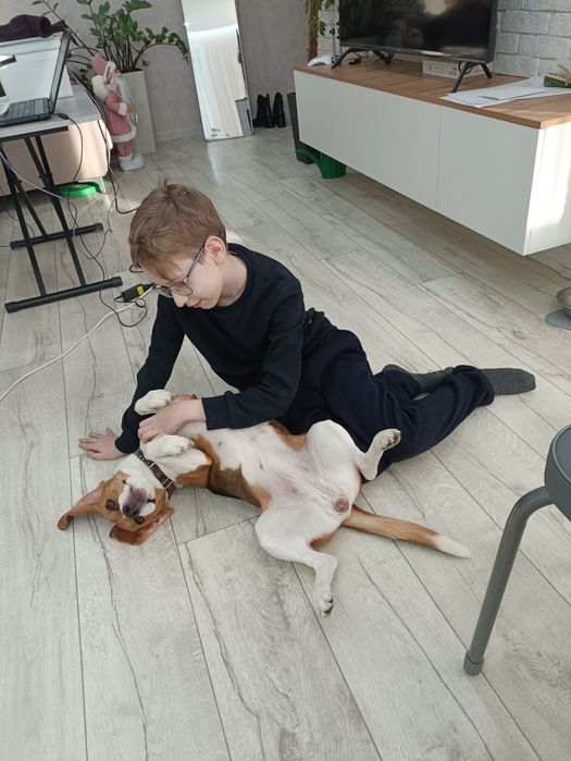 Люкс  район площади