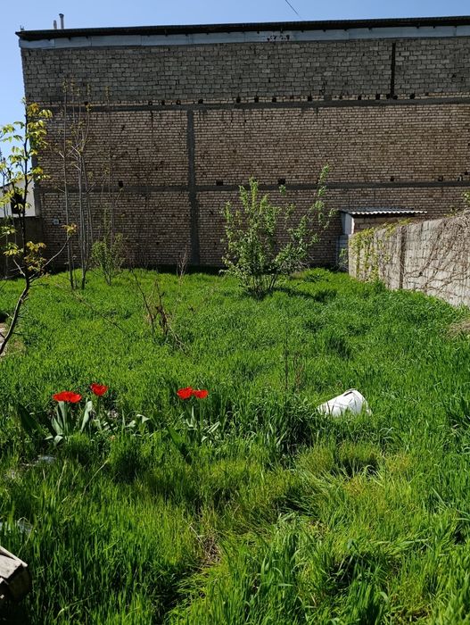 Участок Фаргона йули.3 сот.ор-р Лип Моторс