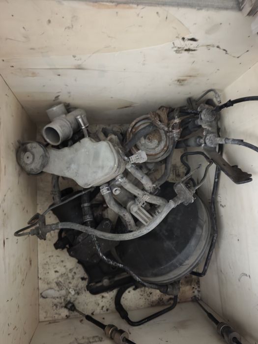 Ипсум Авенсис Версо спасио