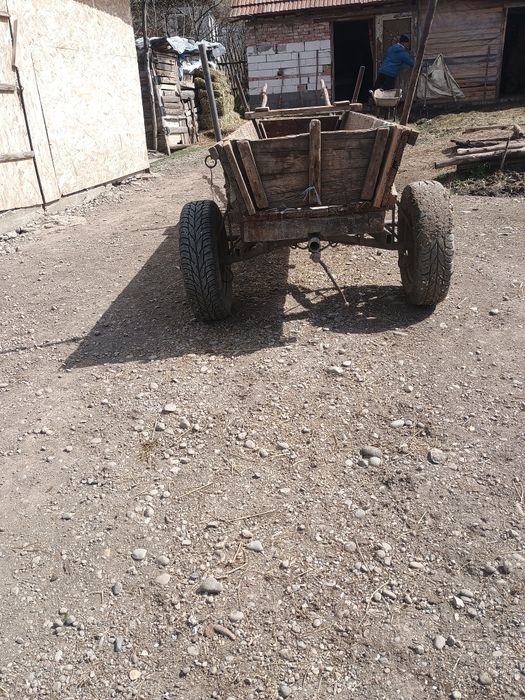 Cal de vânzare de 8 ani