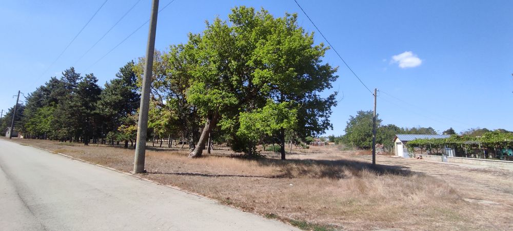 Продава се Парцел в Генерал Тошево - 1700 кв.м за 14 €/кв.м - Снимка #3