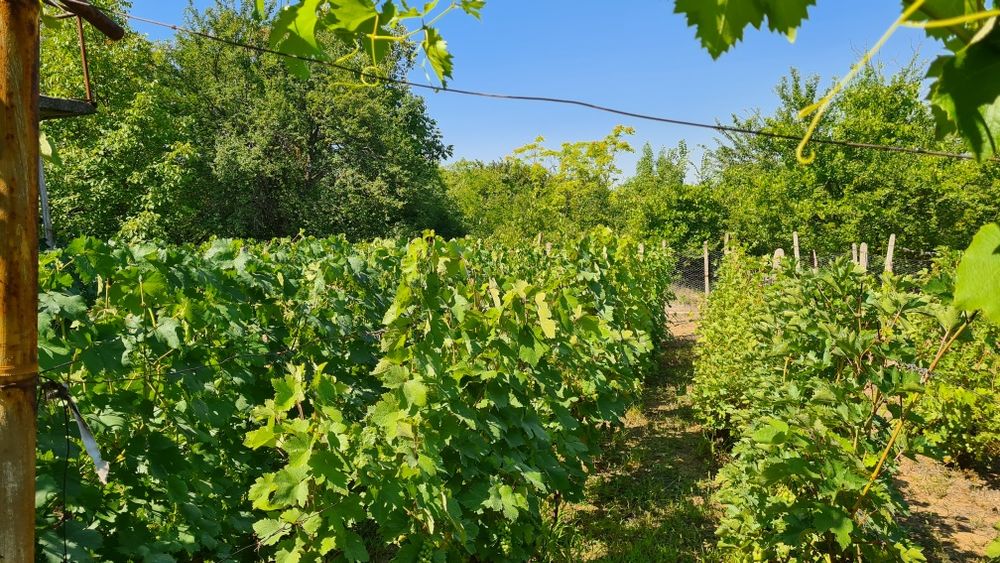 Продава се Къща в Плевен, м-т Стражата - 52 кв.м за 731 €/кв.м - Снимка #10