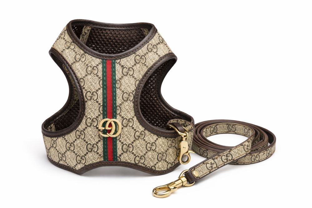 Ham cu lesă pentru câine stil Gucci, model GG, stare foarte bună