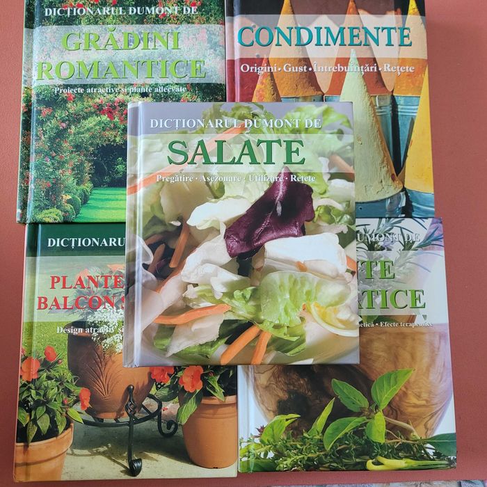 Pachet 5 cărți Dictionarul Dumont