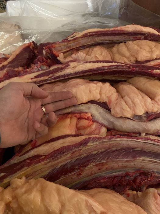 Мясо конины ет жылкы байтал с поля семиз