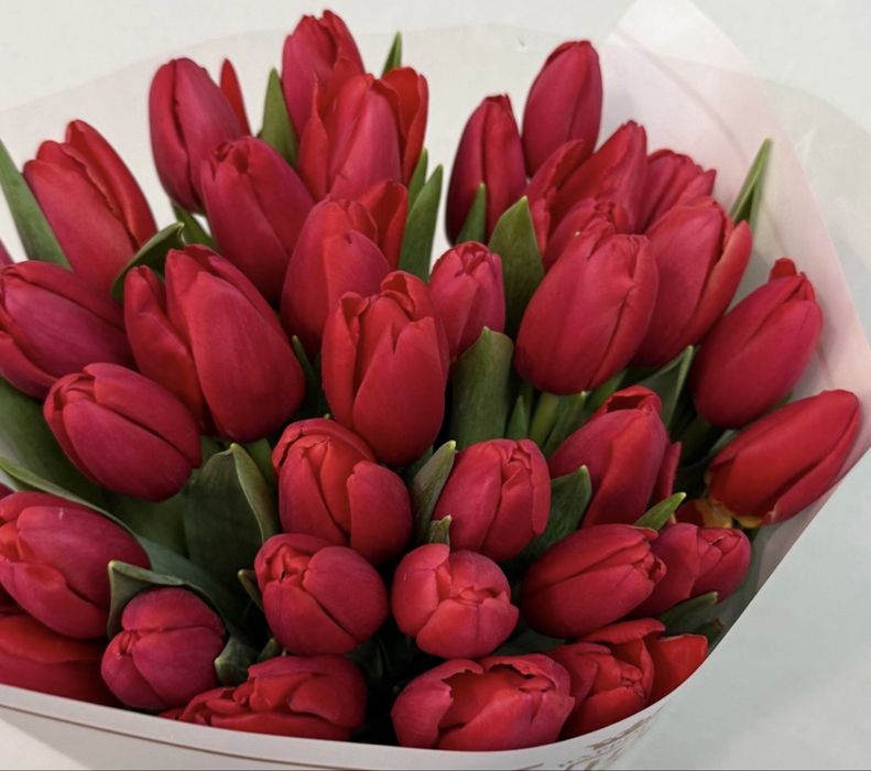 Пионы тюльпаны пионовидные