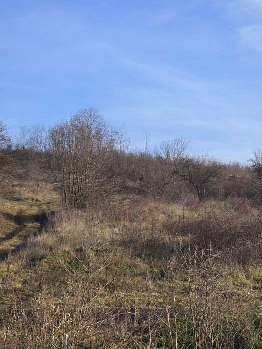 De vânzare doua hectare teren extravilan Corbita