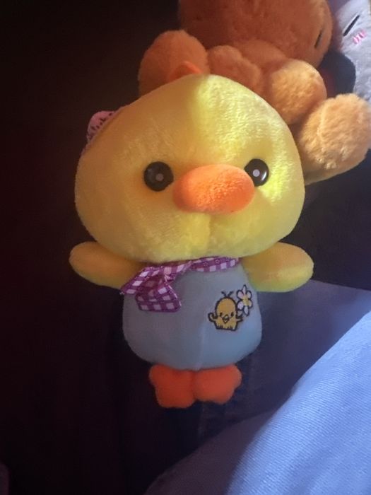 Игрушки новые.