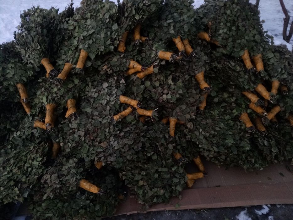 Банные веники берёза