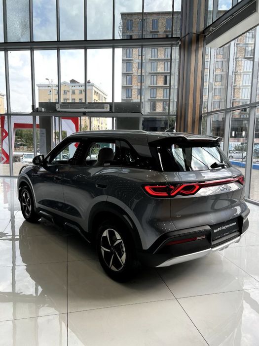 BYD YUAN UP 401Km Flagship