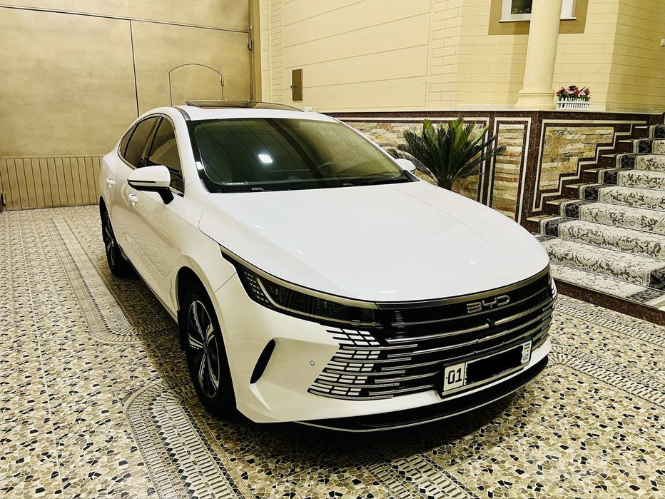 BYD Chazor 120 tali Kraska Toza