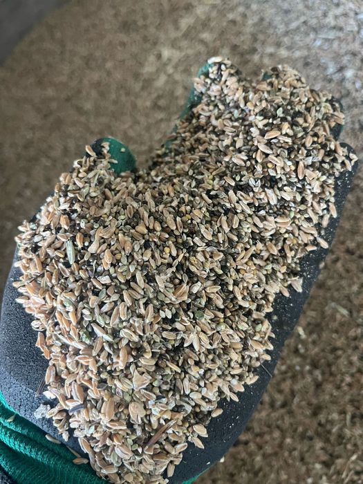 Отруби Отходы Полова Зерноотходы