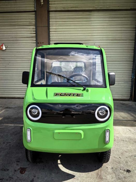 Forte E-pikup Electric