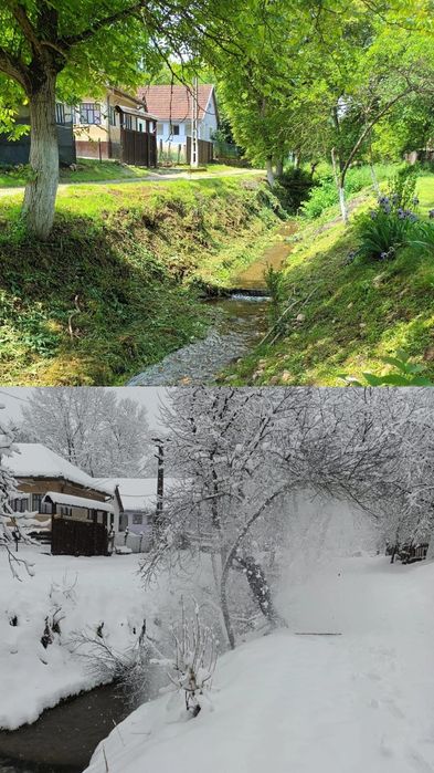 Oază de liniște și tradiție: Proprietate unică cu 4 corpuri în Mustești (Gurahonț)