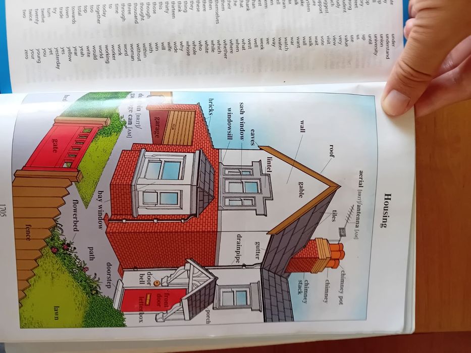 Colins речник - коледно намаление