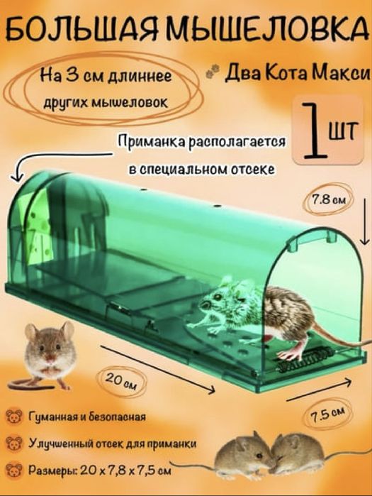 Мышеловка гуманная