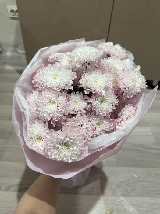 Продам цветы нежные