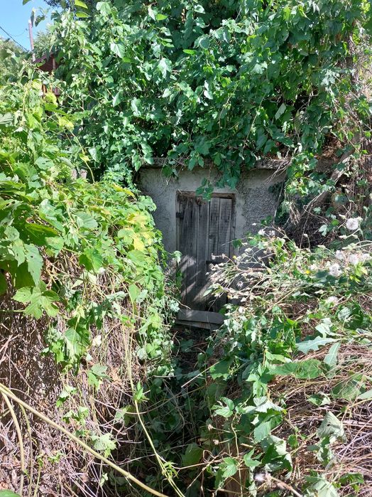 Продава се Къща в Тутракан - 150 кв.м за 68 €/кв.м - Снимка #3