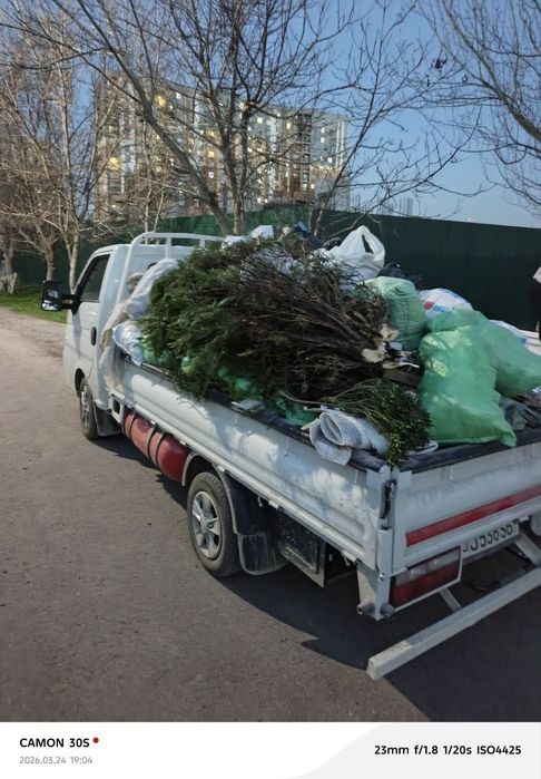 Musir Musr Musor tashish xizmati 24/7. Мусир Мусор Муср ташиш хизмати.