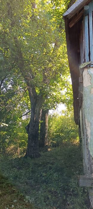 Casa și terenuri de vânzare