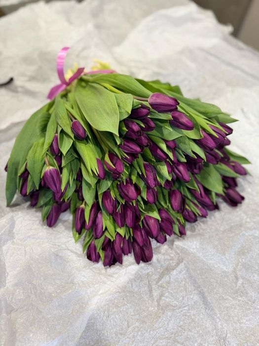 Свежие Тюльпаны на 8 Марта