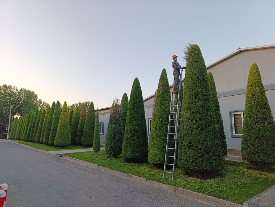 Archa kesish Archalarga shakil berish va Dorillash