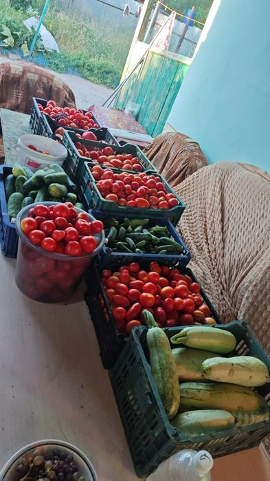 Продам Домик у моря.