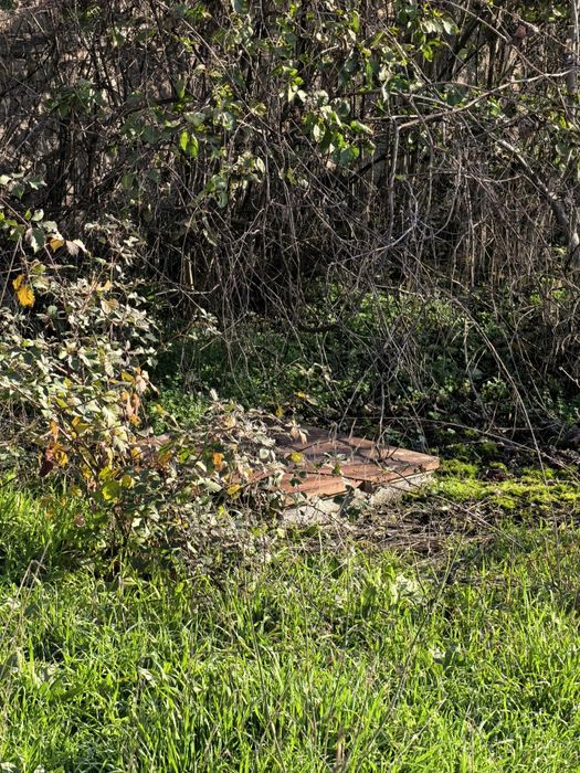 Продава се Къща в с. Долна махала, Област Пловдив - 50 кв.м за 500 €/кв.м - Снимка #11