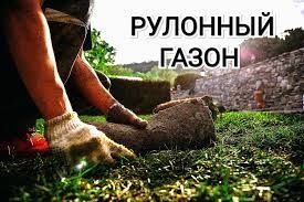 Автополив укладка газона