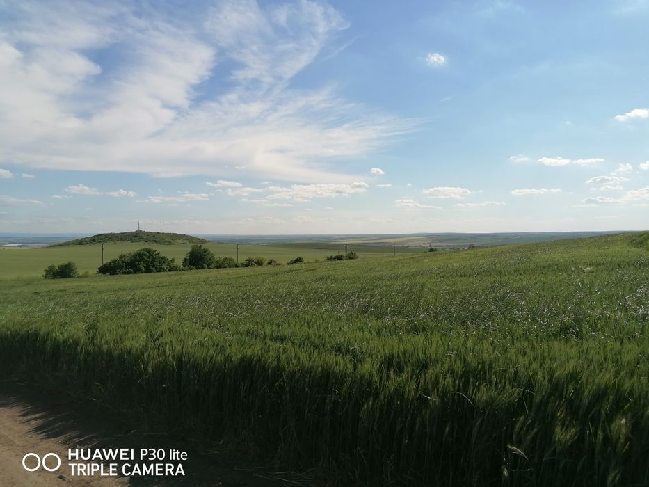 Продава се Парцел в Българово - 3000 кв.м за 6 €/кв.м - Снимка #9