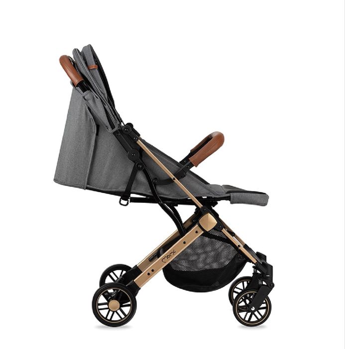 Carut tip troller pliabil pentru avion Momi