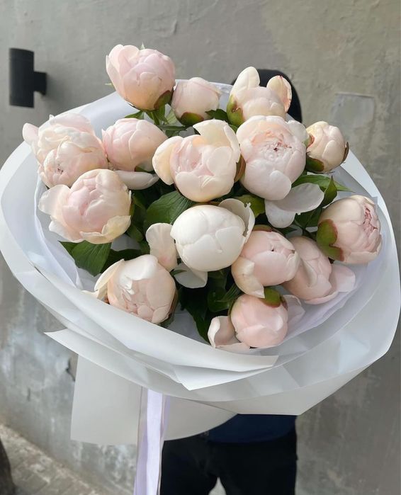 Пионы Розы оптом и в розницу