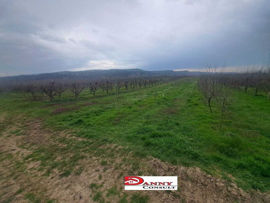 Продава се Земеделски имот в Велико Търново, Акация -  кв.м за 1836 €/дка - Снимка #5