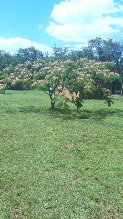 Продава се Къща в Нова Загора - 130 кв.м за 754 €/кв.м - Снимка #17