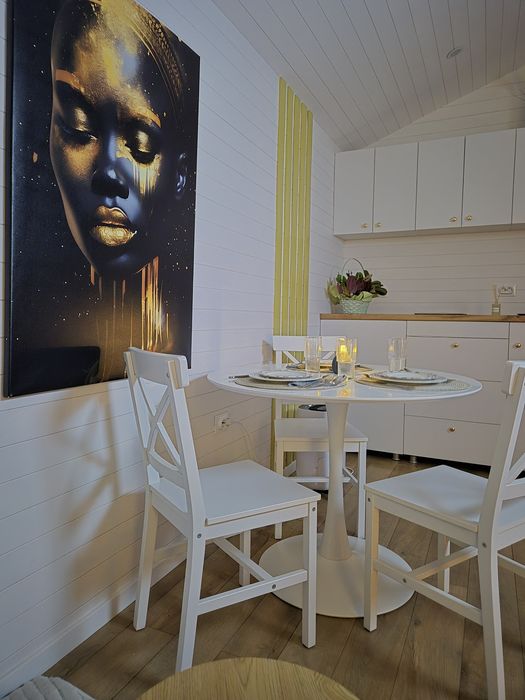 Căsuța/casă mobilă, tiny house premium, 9x3 m, disponibilă în rate