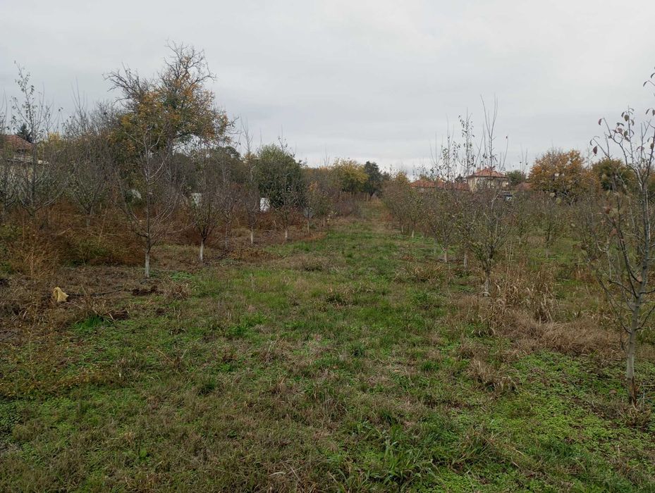 Продава се Земеделски имот в Горна Оряховица -  кв.м за 5100 €/дка - Снимка #2